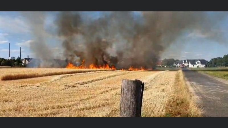 2023 07 12 fwald1 zumkoenigssee 1