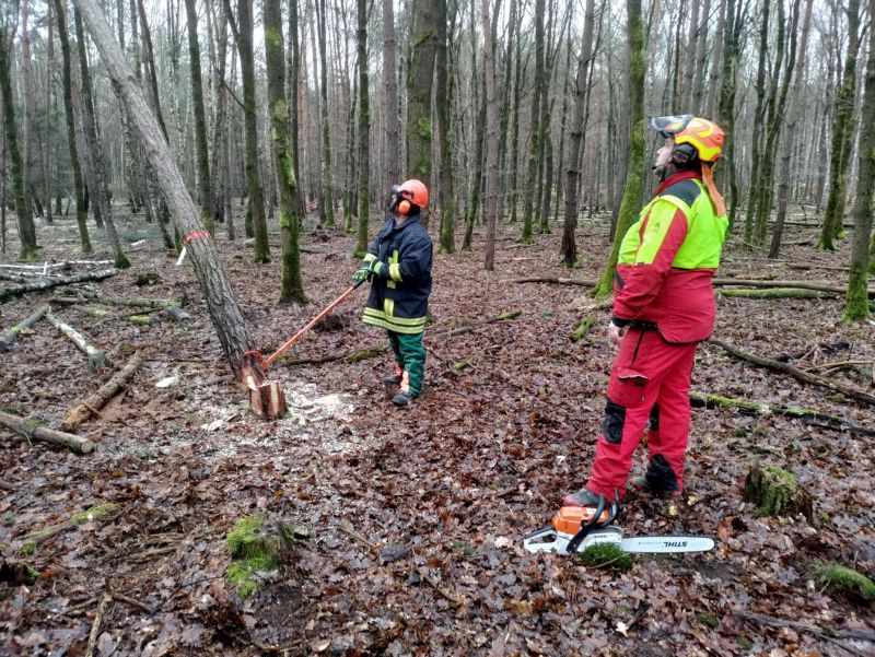 2026 01 17 motorkettensaegenausbildung 3