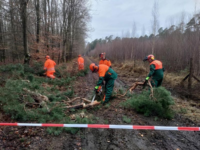 2026 01 17 motorkettensaegenausbildung 4
