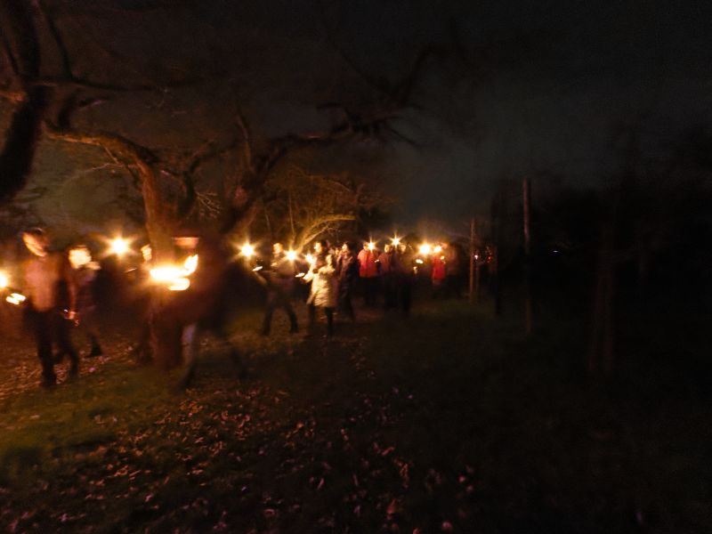 Fackelwanderung durch den Obsthain